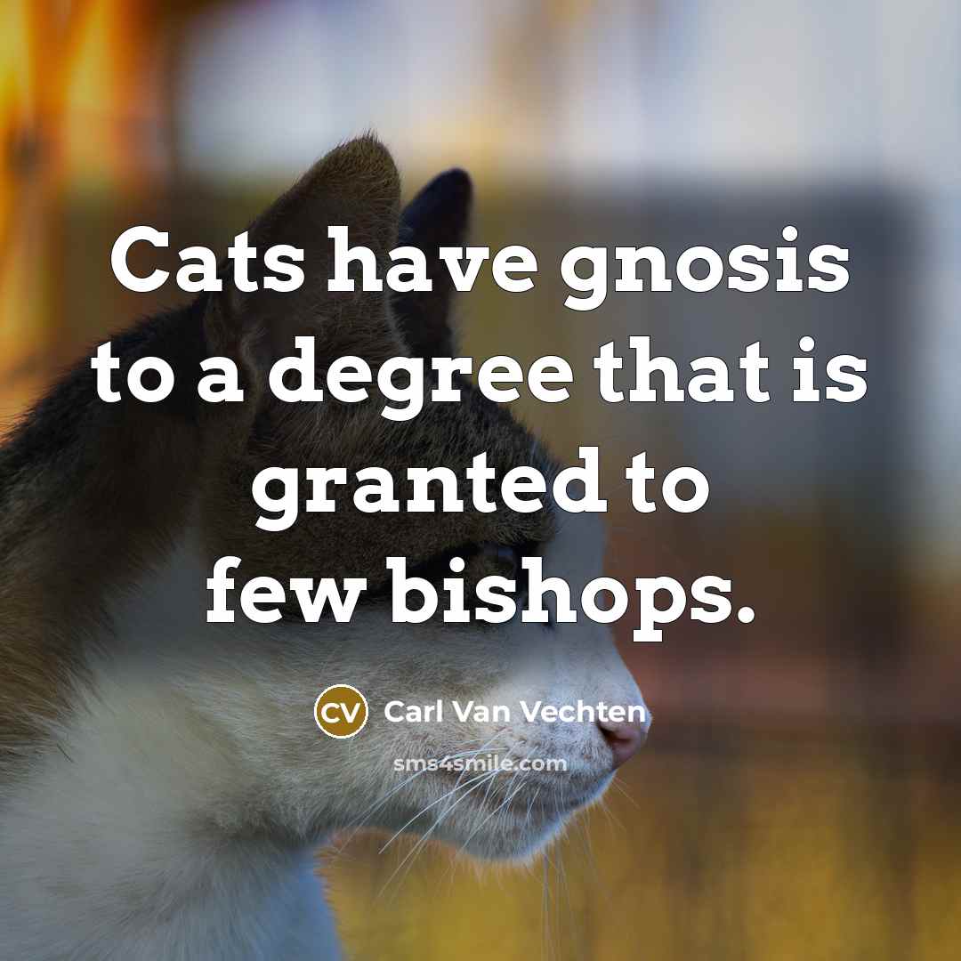 “Cats have gnosis to a degree that is granted to…” quote by Carl Van Vechten