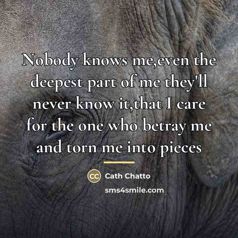 “Nobody knows me,even the deepest part of me they'll never…” quote by Cath Chatto
