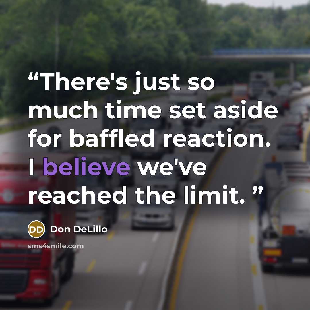 “There's just so much time set aside for baffled reaction. I believe we've reached the limit.” quote by Don DeLillo