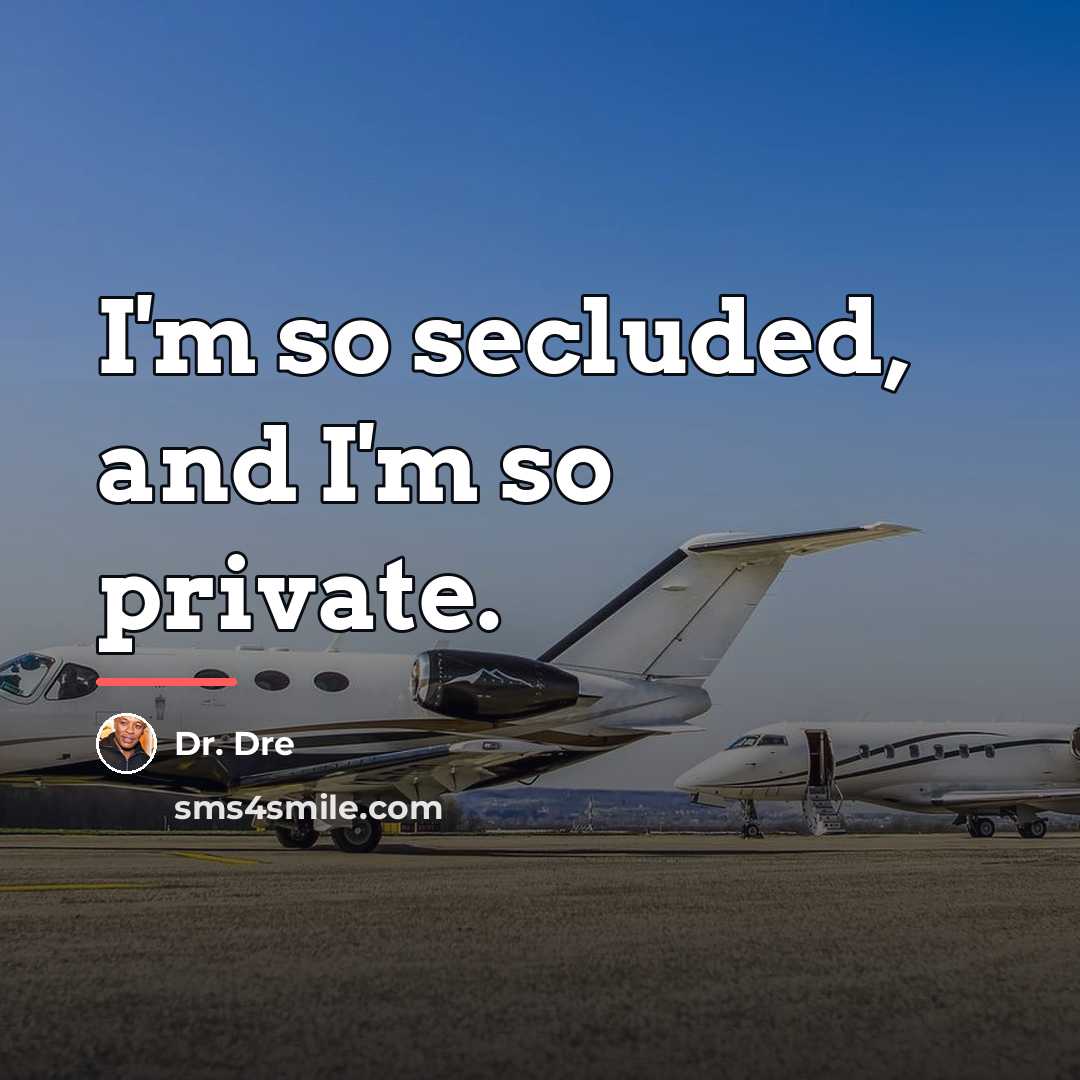“I'm so secluded, and I'm so private.…” quote by Dr. Dre
