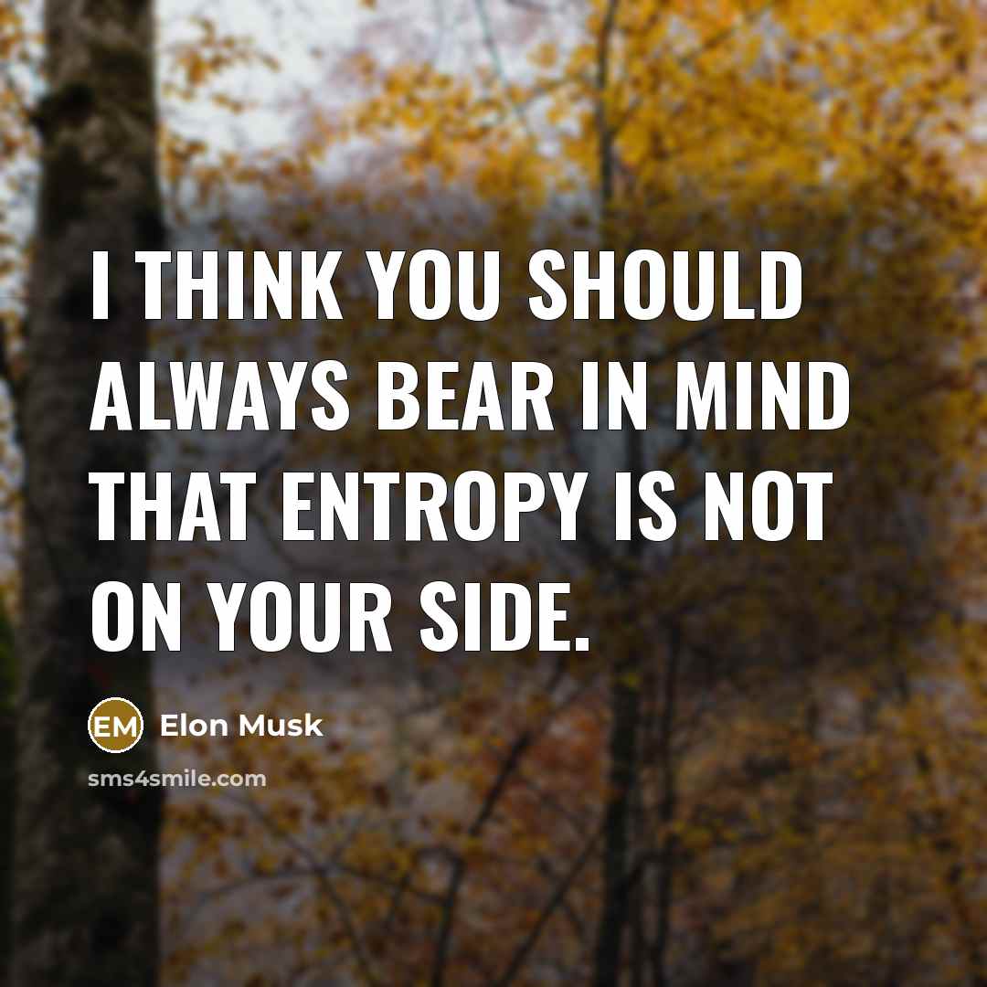 “I think you should always bear in mind that entropy…” quote by Elon Musk