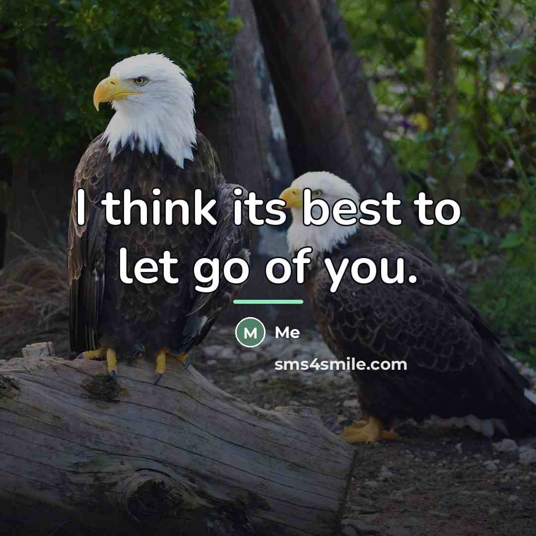 “I think its best to let go of you.…” quote by Me