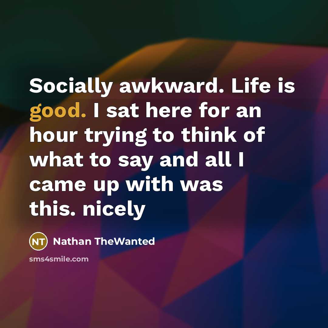 “Socially awkward. Life is good. I sat here for an hour trying to think of what to say and all I came up with was this. nicely” quote by Nathan TheWanted