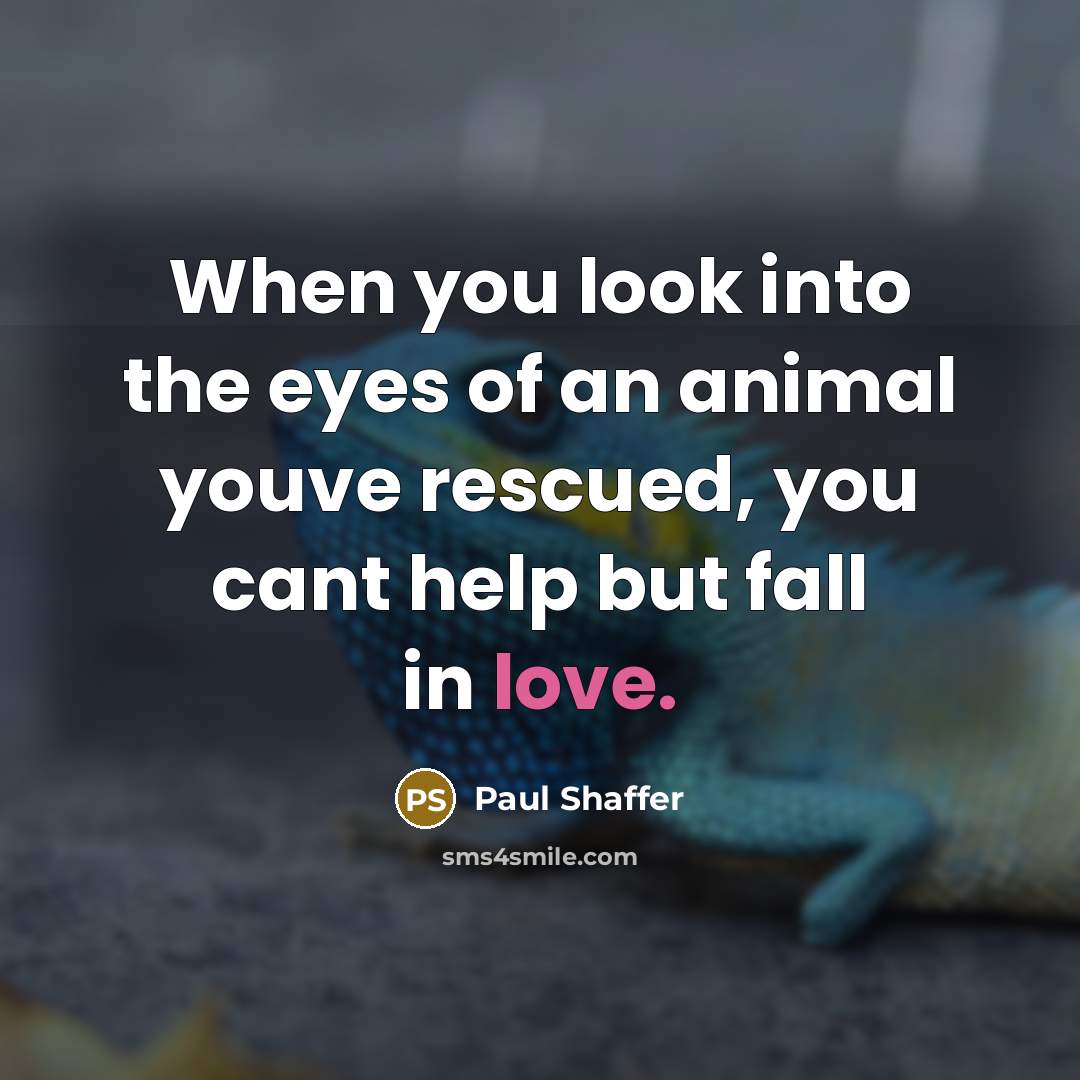 “When you look into the eyes of an animal youve…” quote by Paul Shaffer