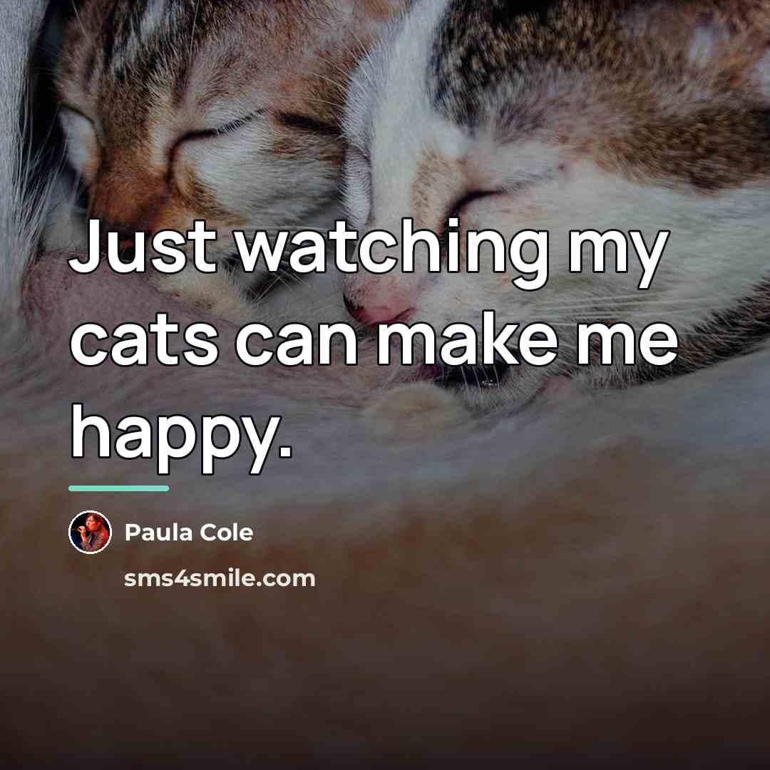 “Just watching my cats can make me happy.…” quote by Paula Cole
