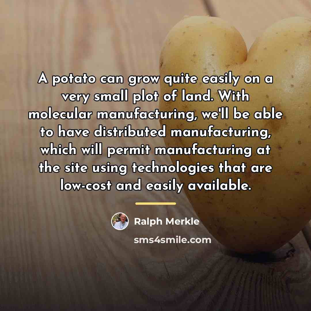 “A potato can grow quite easily on a very small…” quote by Ralph Merkle