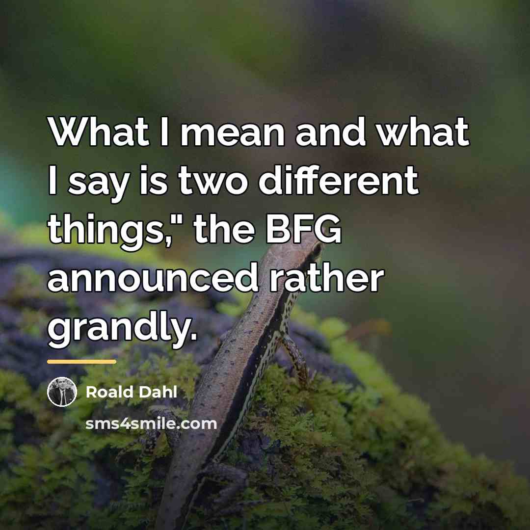“What I mean and what I say is two different…” quote by Roald Dahl