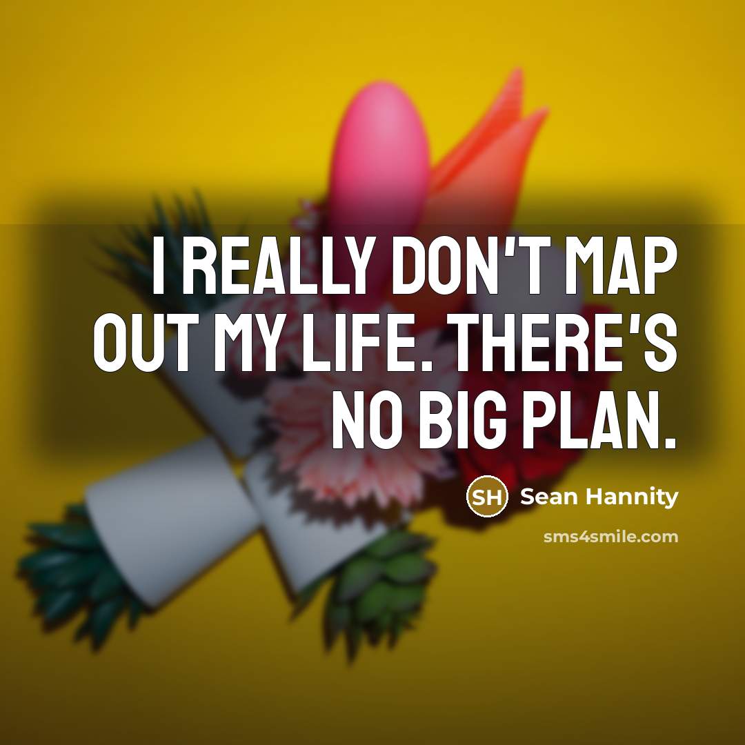 “I really don't map out my life. There's no big…” quote by Sean Hannity