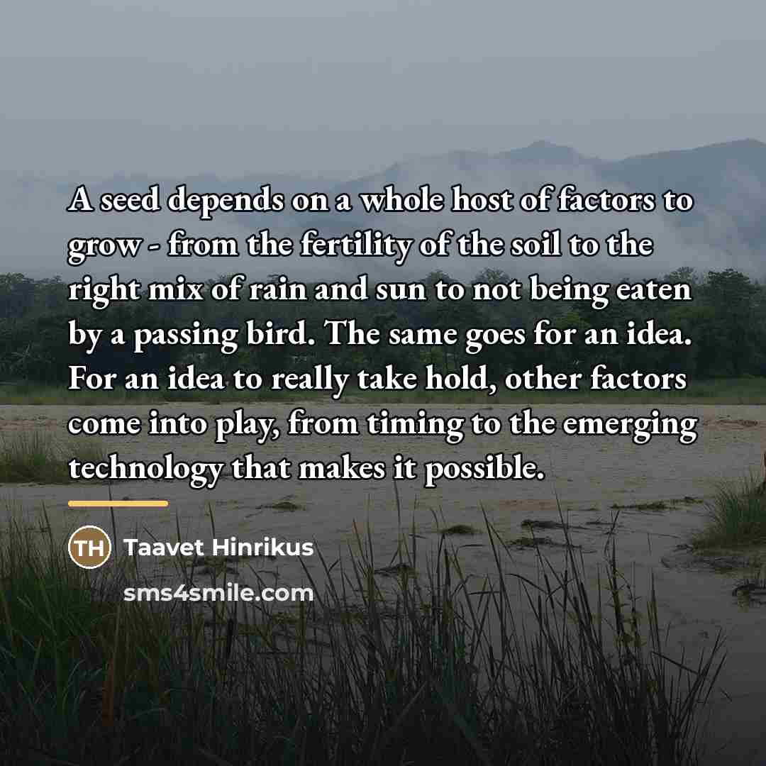 “A seed depends on a whole host of factors to…” quote by Taavet Hinrikus