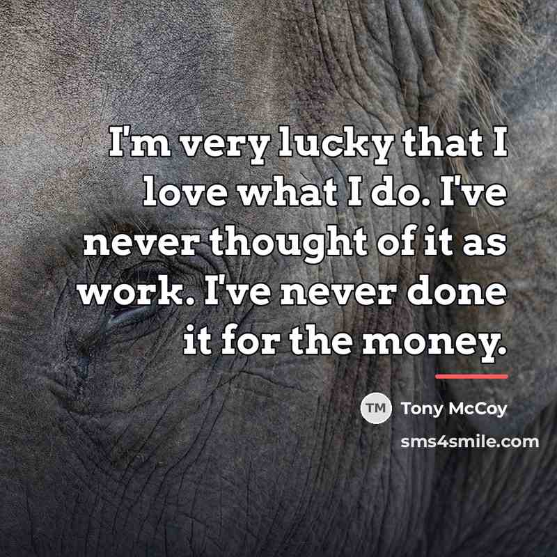 “I'm very lucky that I love what I do. I've…” quote by Tony McCoy