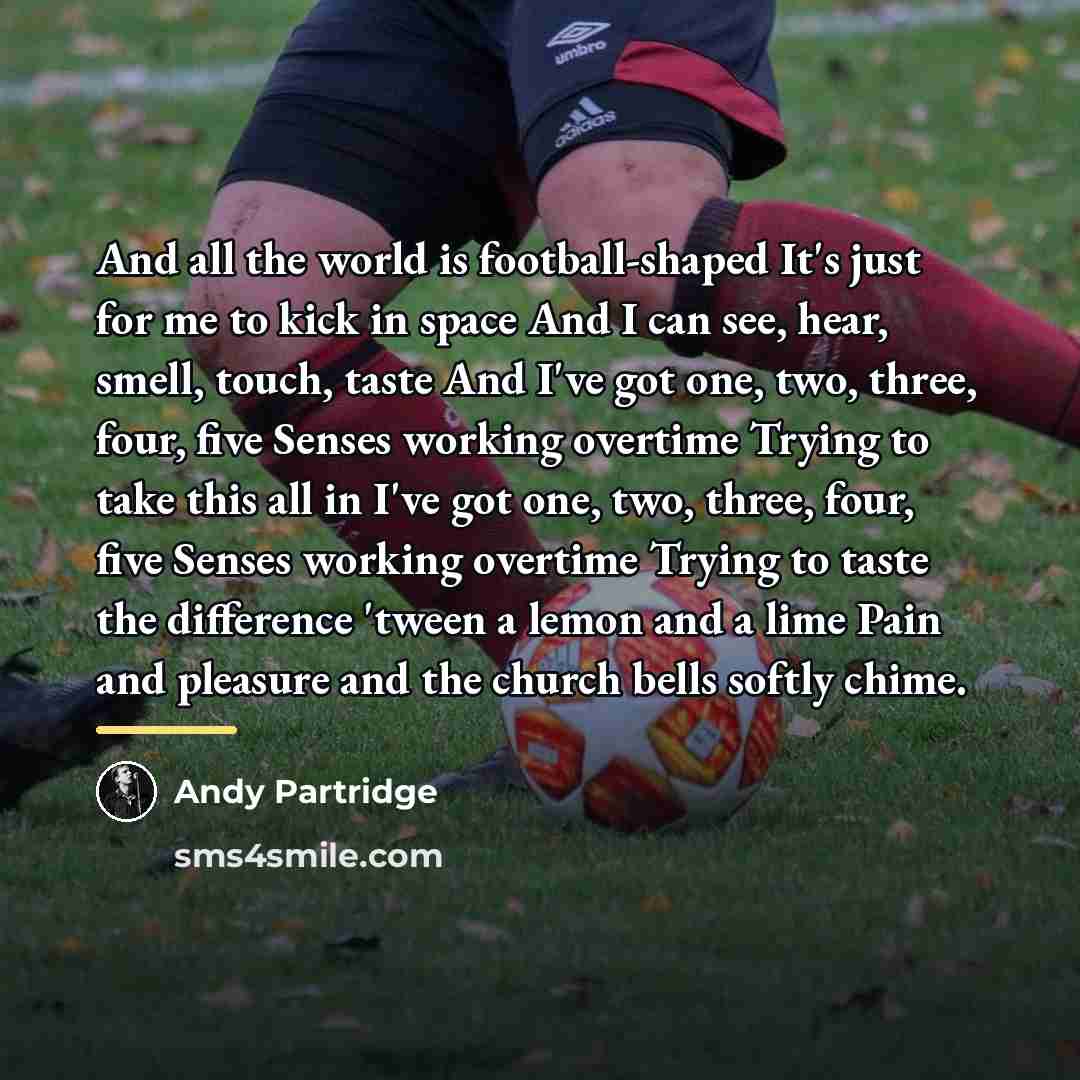 “And all the world is football-shaped It's just for me…” quote by Andy Partridge