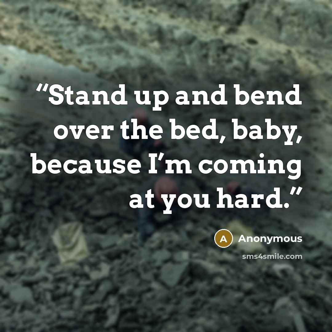 “Stand up and bend over the bed, baby, because I’m coming at you hard.” quote by Anonymous