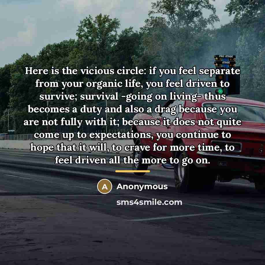 “Here is the vicious circle: if you feel separate from…” quote by Anonymous