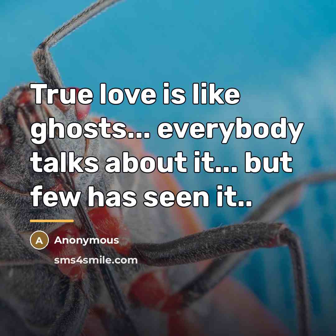 “True love is like ghosts... everybody talks about it... but…” quote by Anonymous