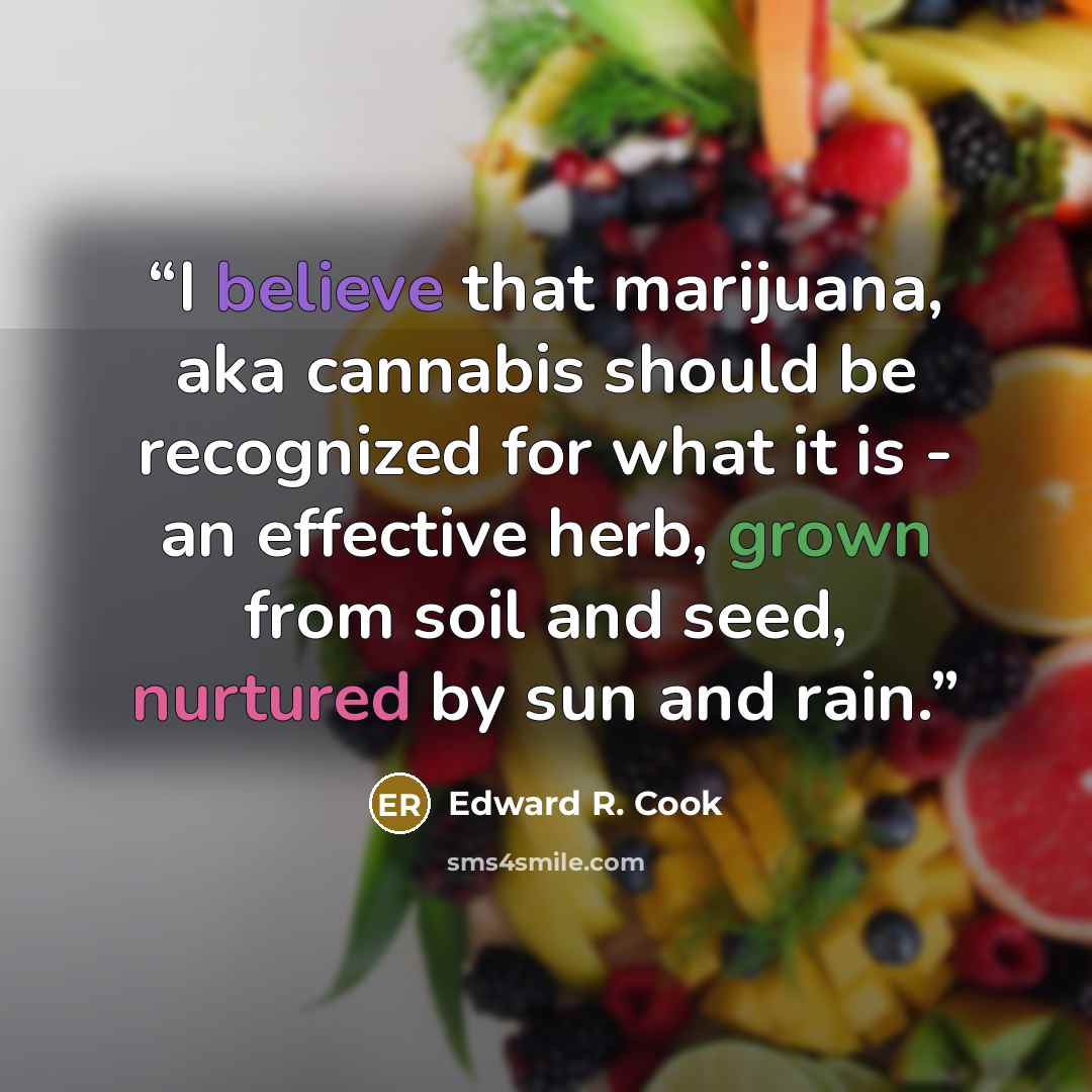 “I believe that marijuana, aka cannabis should be recognized for what it is - an effective herb, grown from soil and seed, nurtured by sun and rain.” quote by Edward R. Cook