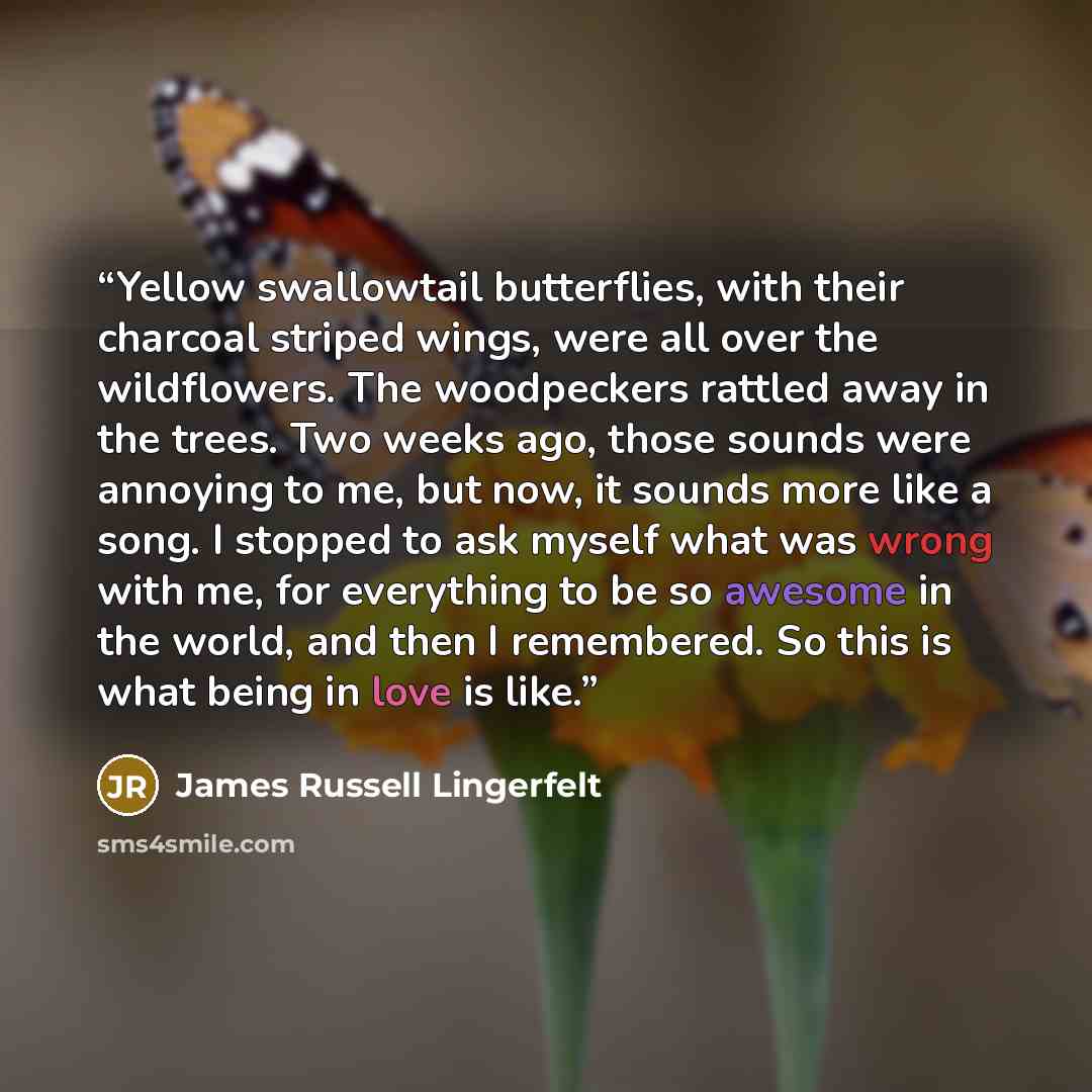 “Yellow swallowtail butterflies, with their charcoal striped wings, were all over the wildflowers. The woodpeckers rattled away in the trees. Two weeks ago, those sounds were annoying to me, but now, it sounds more like a song. I stopped to ask myself what was wrong with me, for everything to be so…” quote by James Russell Lingerfelt