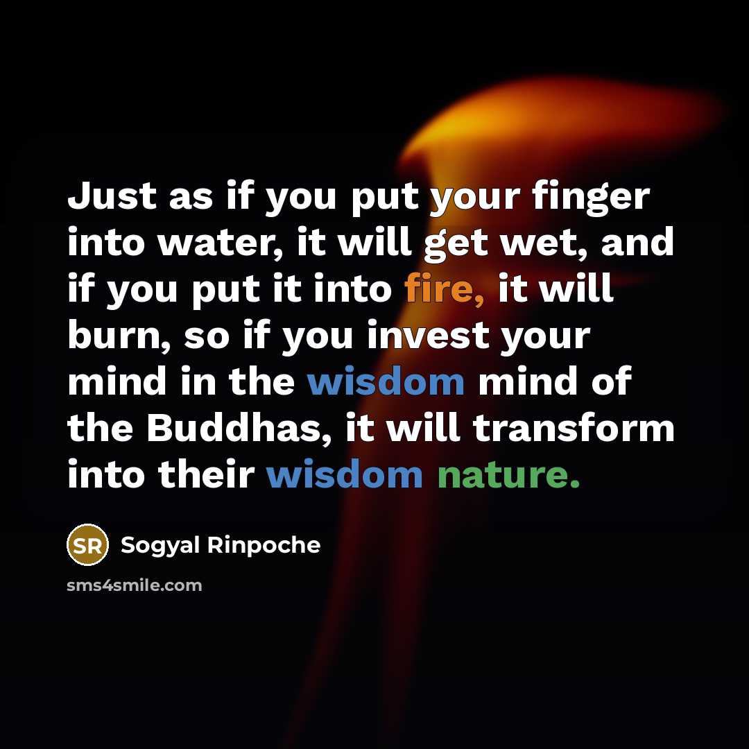 “Just as if you put your finger into water, it…” quote by Sogyal Rinpoche