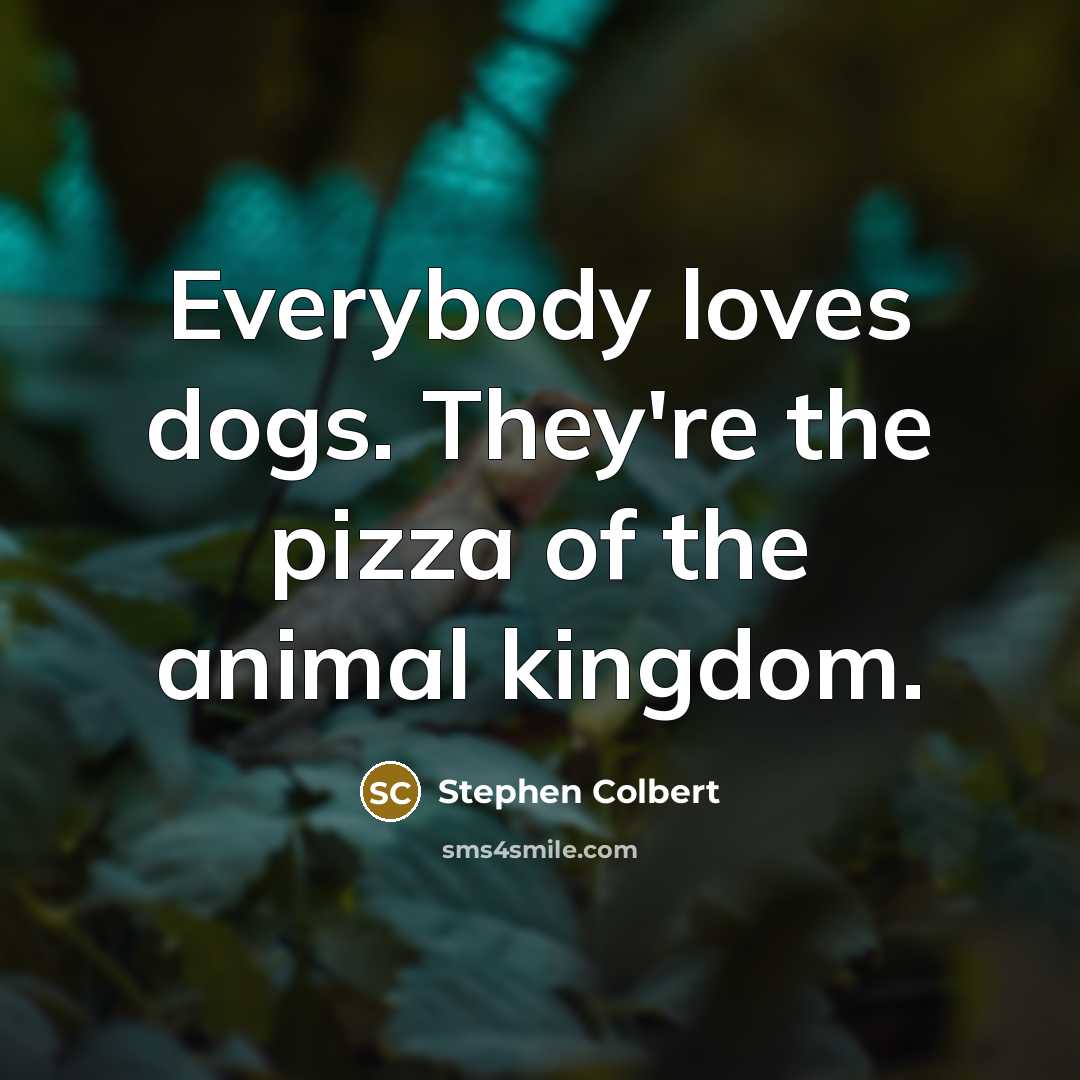 “Everybody loves dogs. They're the pizza of the animal kingdom.…” quote by Stephen Colbert