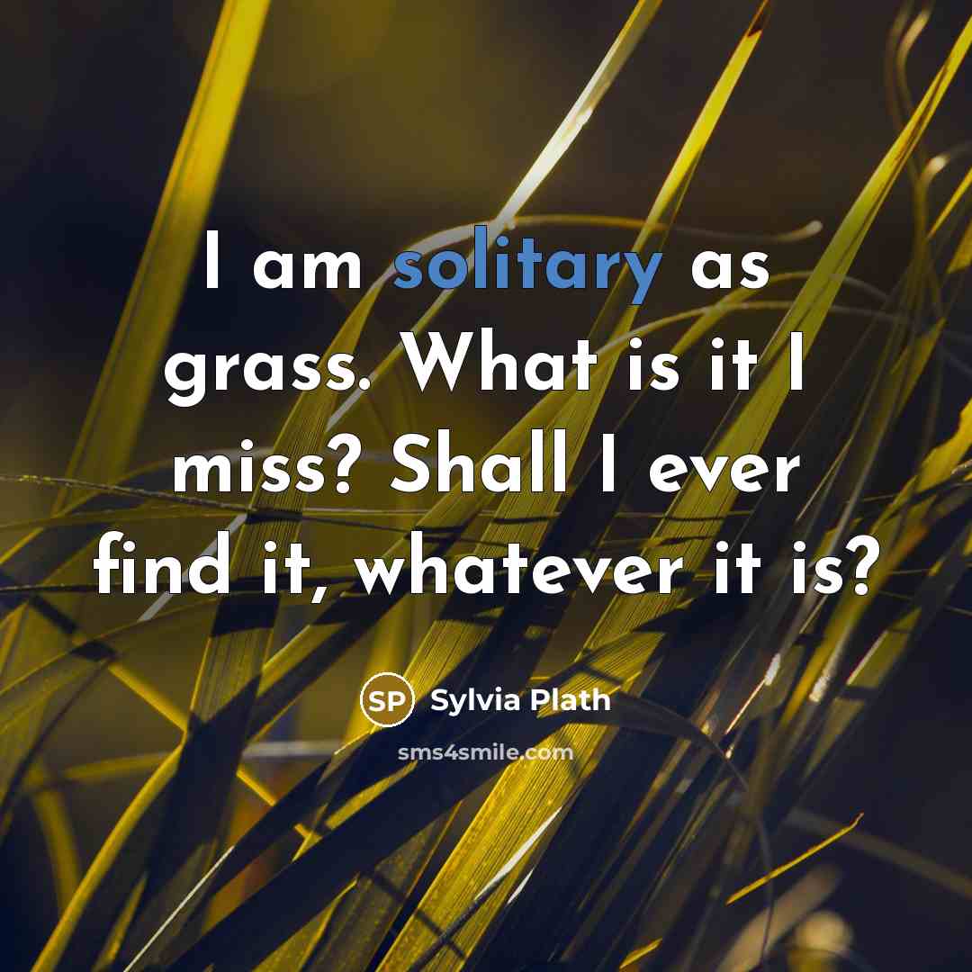 “I am solitary as grass. What is it I miss?…” quote by Sylvia Plath