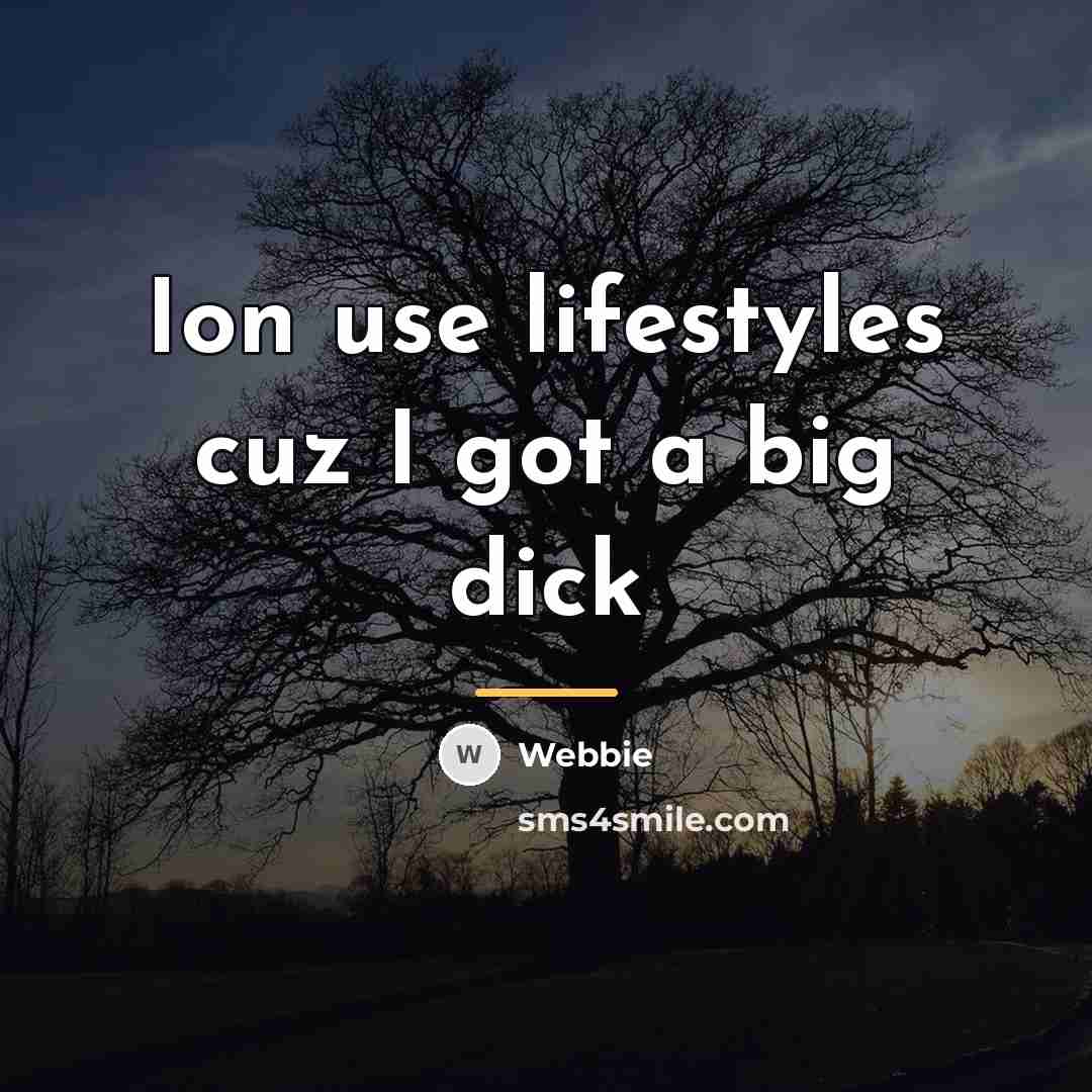 “Ion use lifestyles cuz I got a big dick…” quote by Webbie