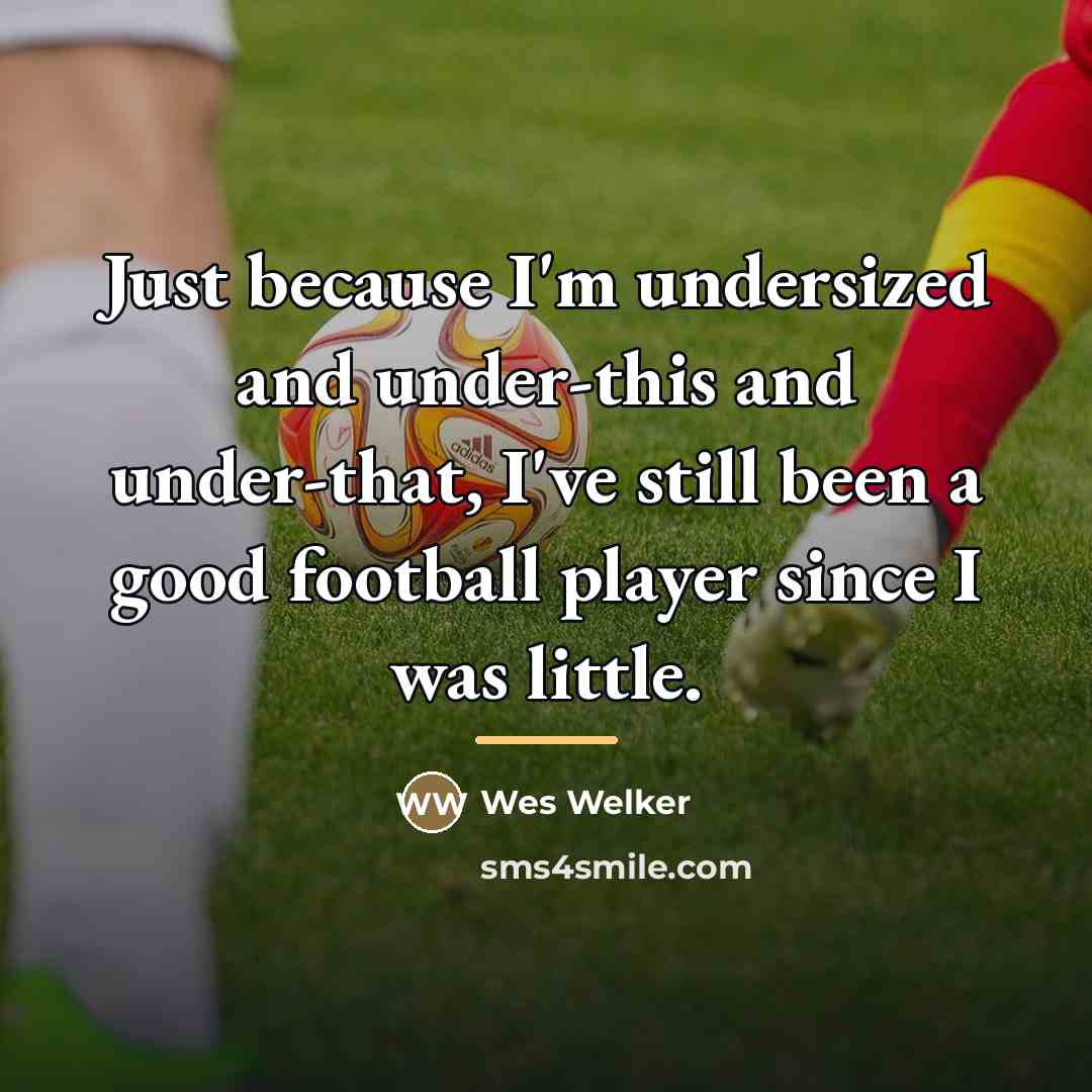 “Just because I'm undersized and under-this and under-that, I've still…” quote by Wes Welker