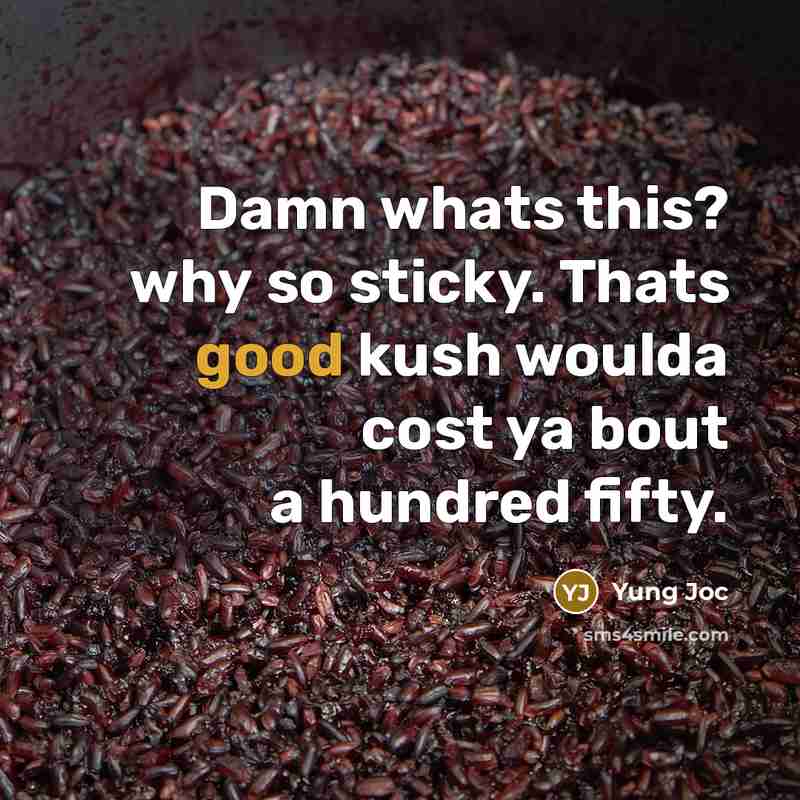 “Damn whats this? why so sticky. Thats good kush woulda…” quote by Yung Joc