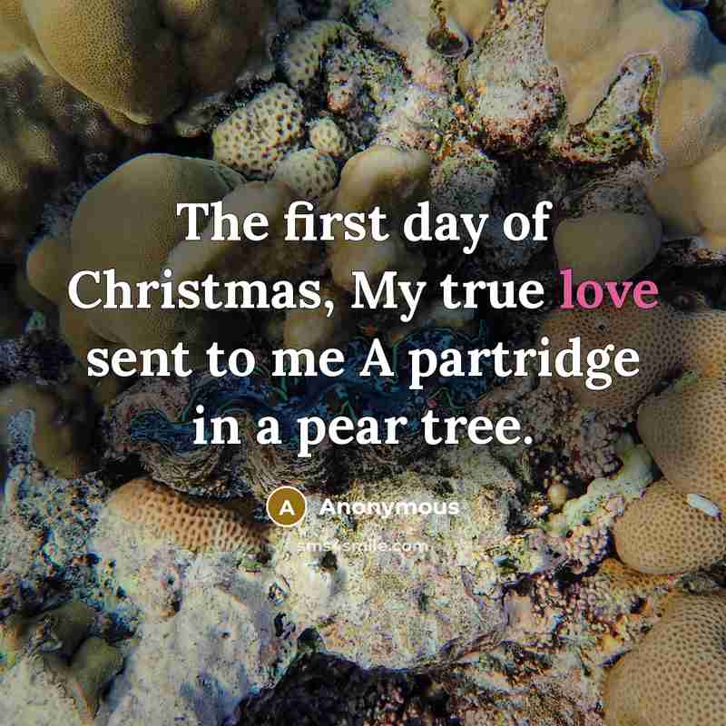 “The first day of Christmas, My true love sent to…” quote by Anonymous