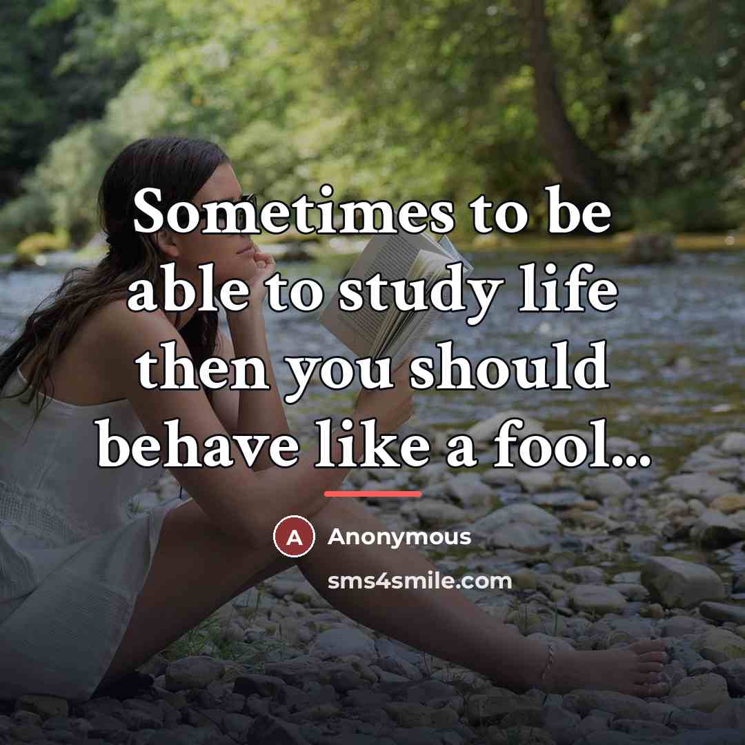 “Sometimes to be able to study life then you should…” quote by Anonymous