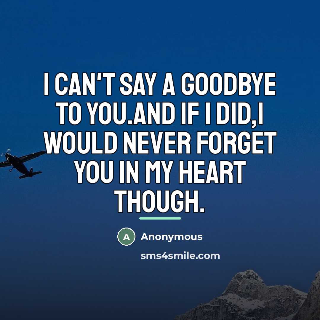“I can't say a Goodbye to you.And If I did,I…” quote by Anonymous