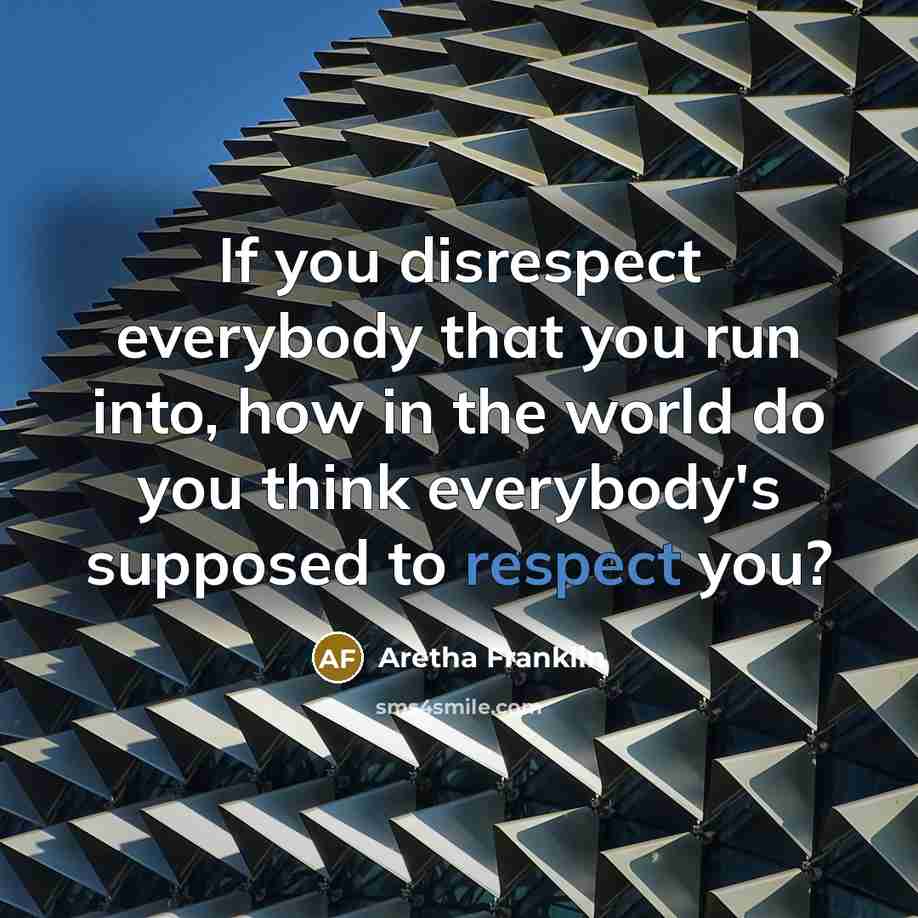 “If you disrespect everybody that you run into, how in…” quote by Aretha Franklin