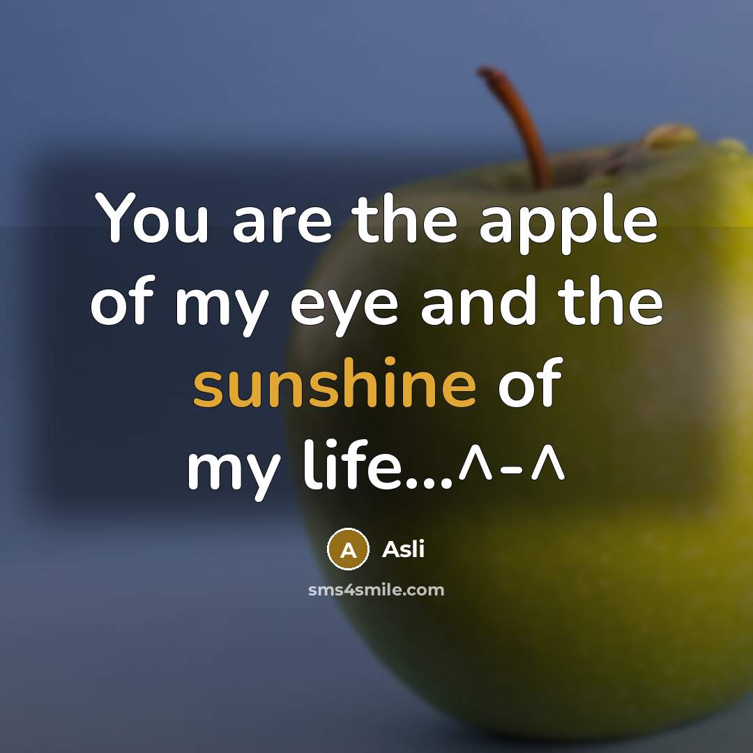 “You are the apple of my eye and the sunshine of my life...^-^” quote by Asli