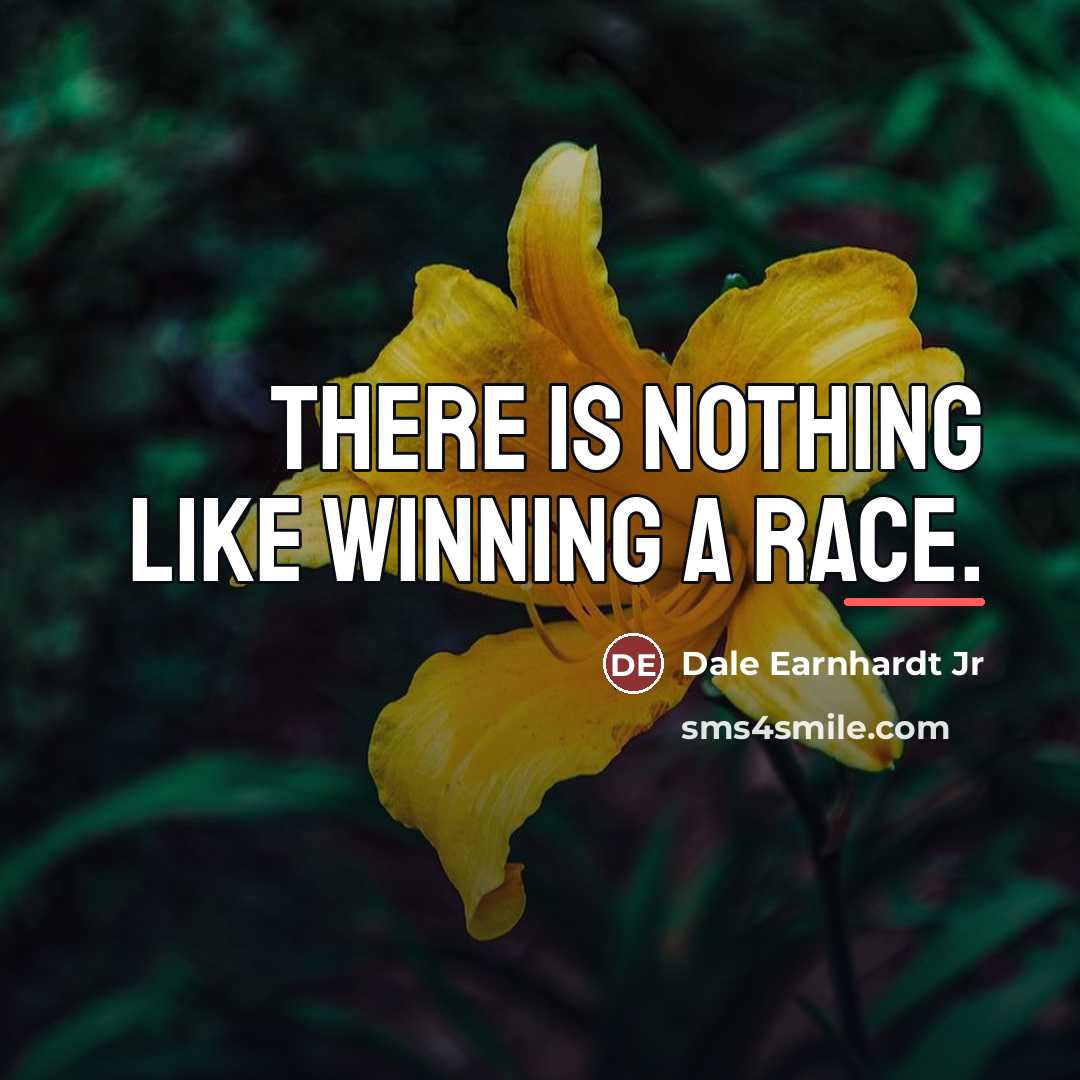“There is nothing like winning a race.…” quote by Dale Earnhardt Jr