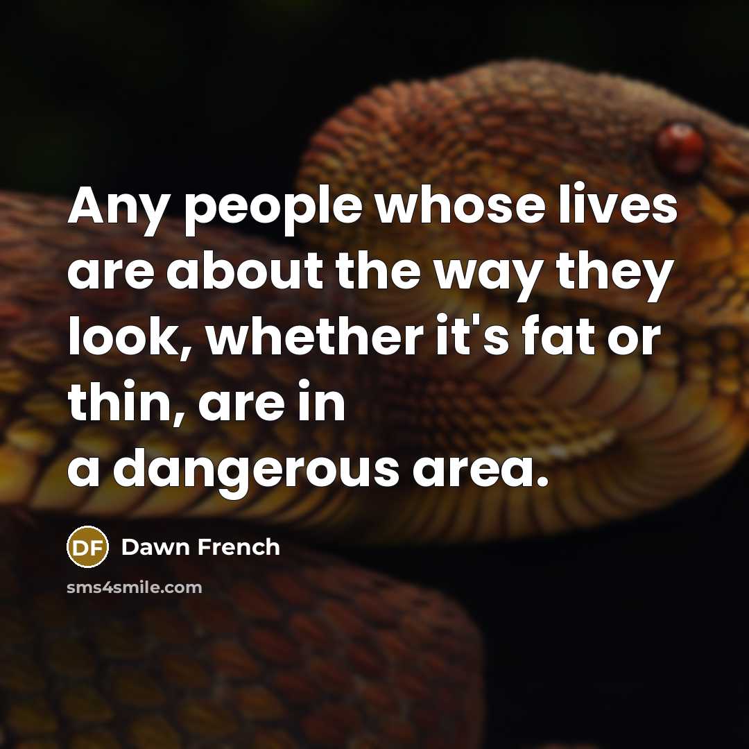 “Any people whose lives are about the way they look,…” quote by Dawn French
