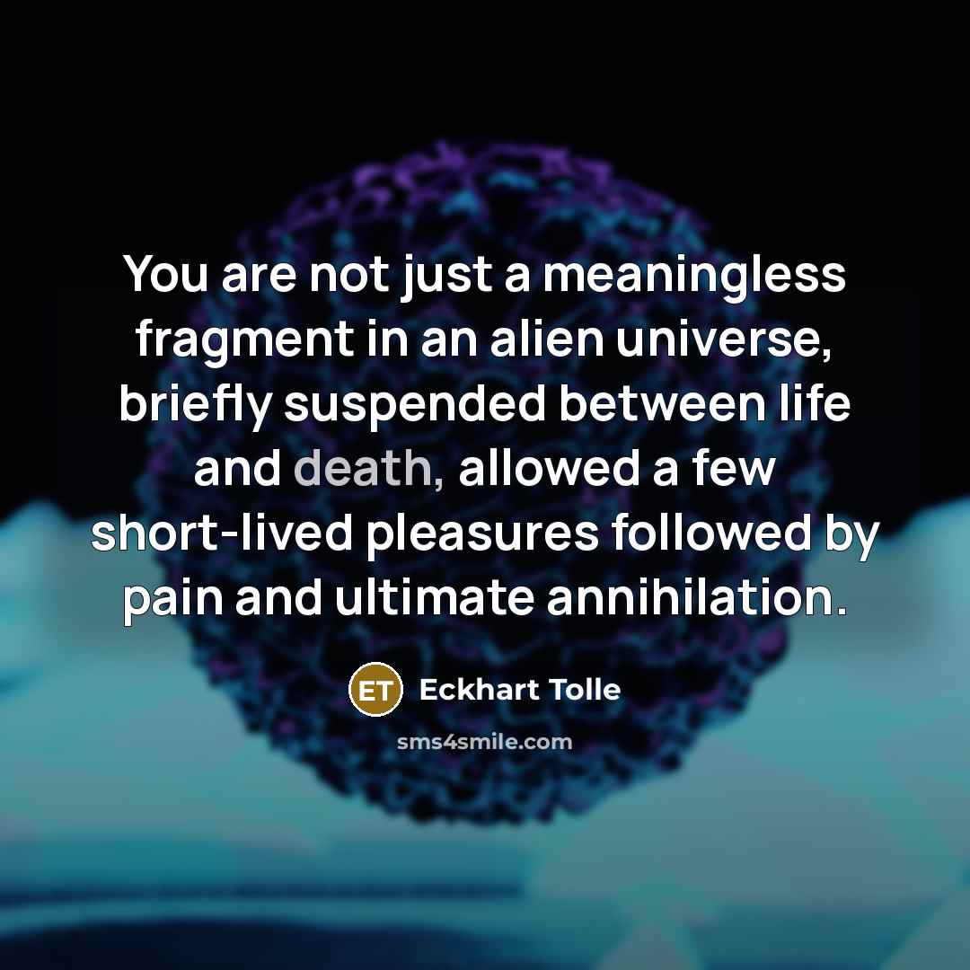 “You are not just a meaningless fragment in an alien…” quote by Eckhart Tolle