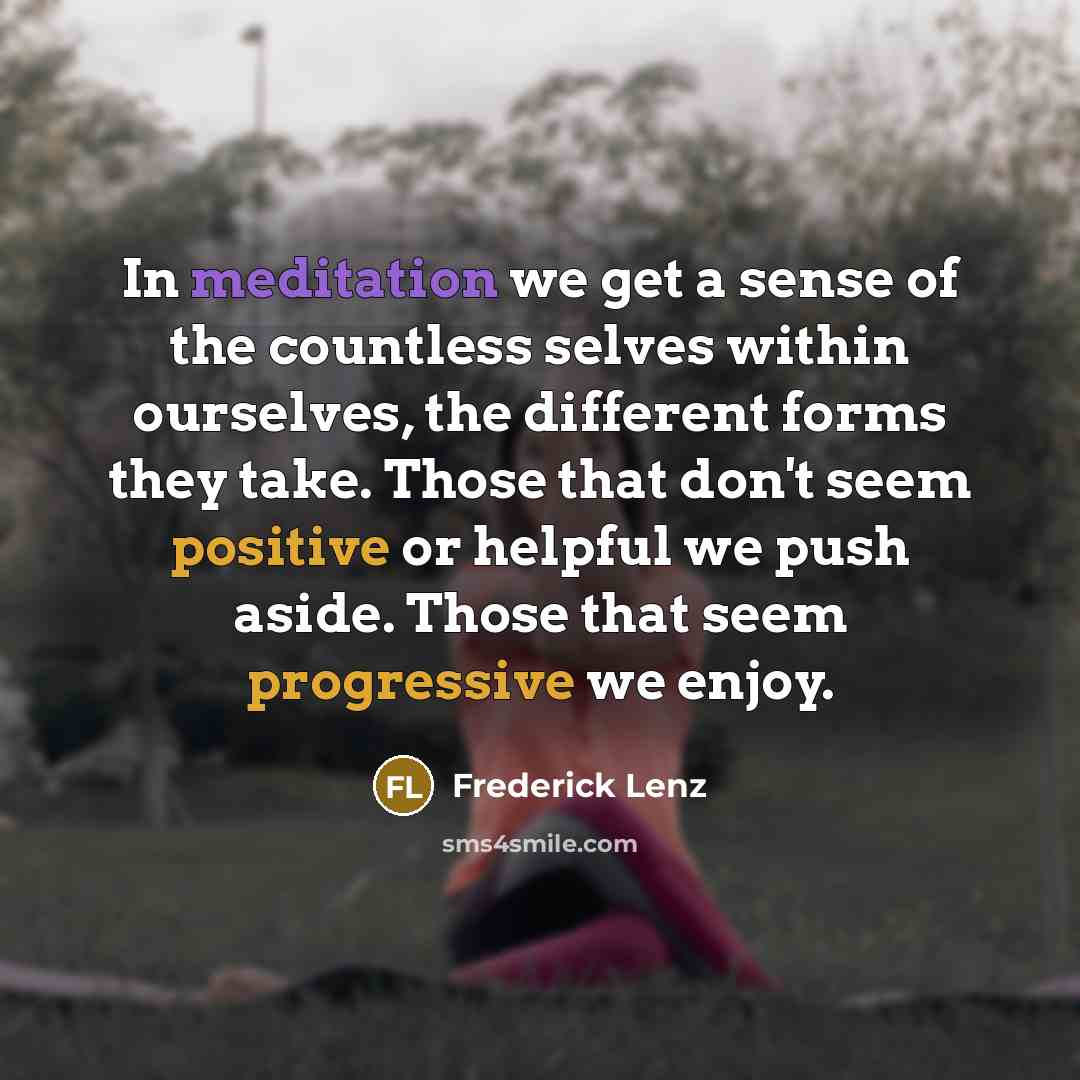 “In meditation we get a sense of the countless selves…” quote by Frederick Lenz