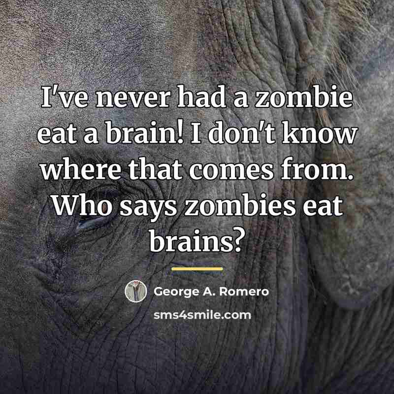 “I've never had a zombie eat a brain! I don't…” quote by George A. Romero