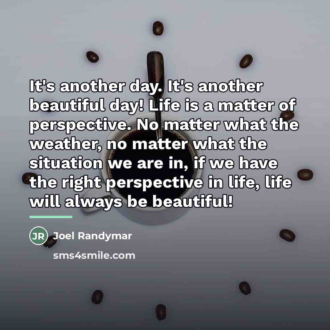 “It's another day. It's another beautiful day! Life is a…” quote by Joel Randymar