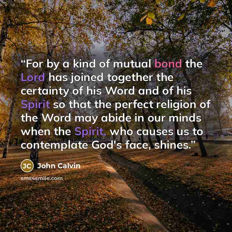 “For by a kind of mutual bond the Lord has joined together the certainty of his Word and of his Spirit so that the perfect religion of the Word may abide in our minds when the Spirit, who causes us to contemplate God's face, shines.” quote by John Calvin