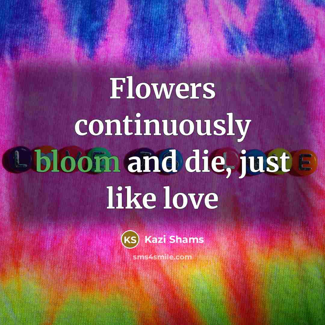 “Flowers continuously bloom and die, just like love…” quote by Kazi Shams