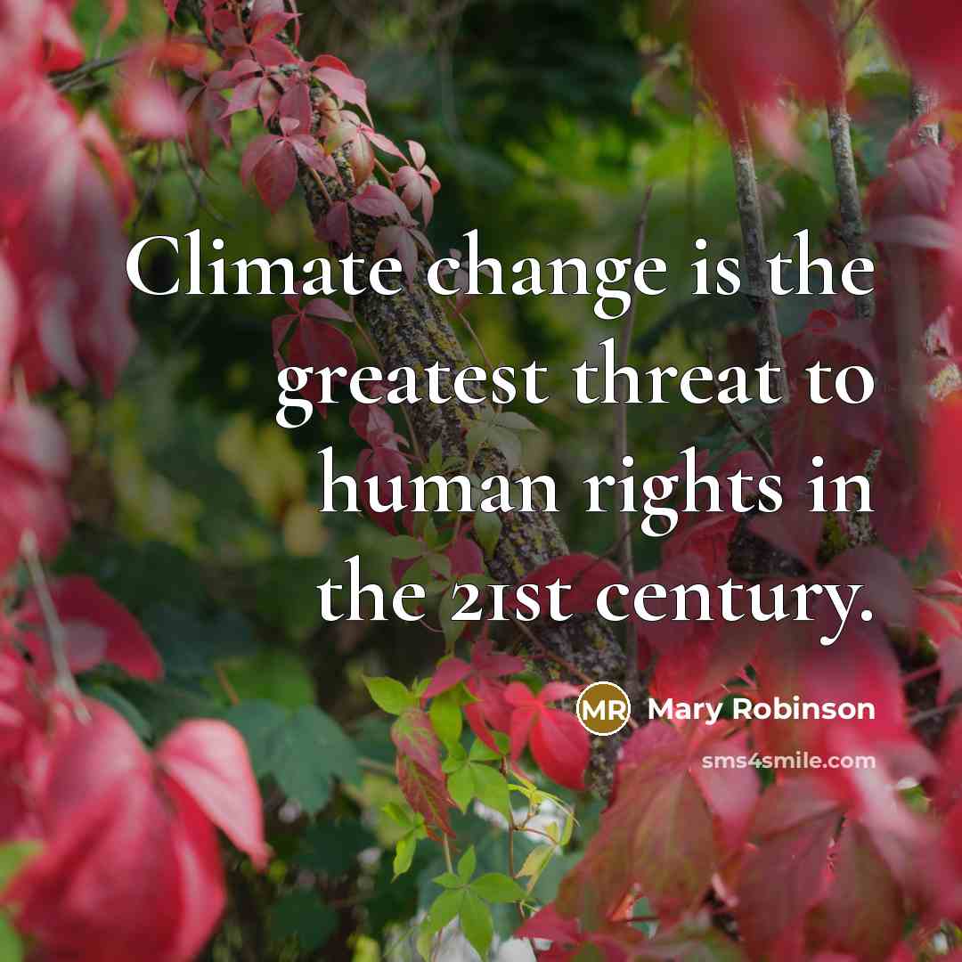 “Climate change is the greatest threat to human rights in…” quote by Mary Robinson