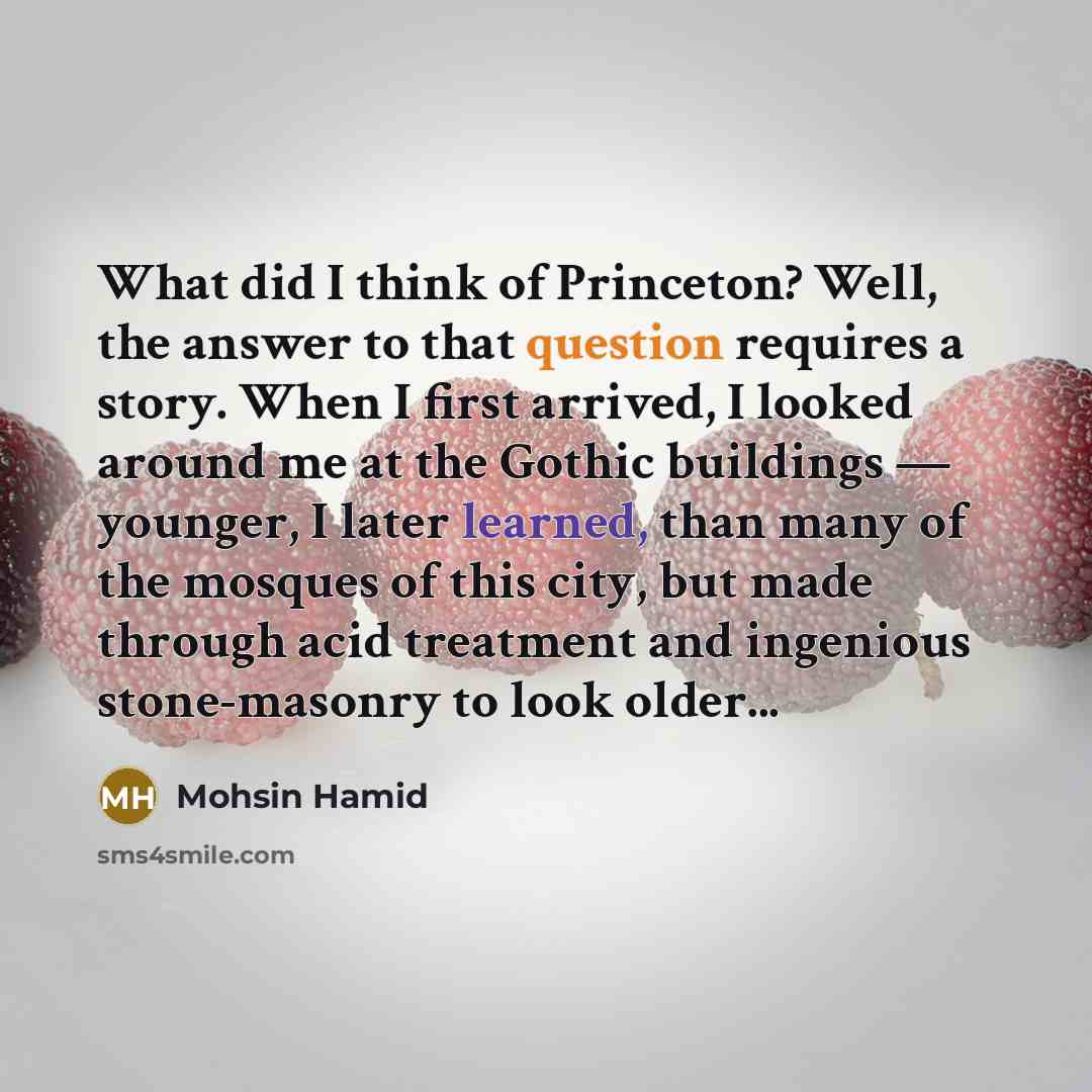 “What did I think of Princeton? Well, the answer to…” quote by Mohsin Hamid