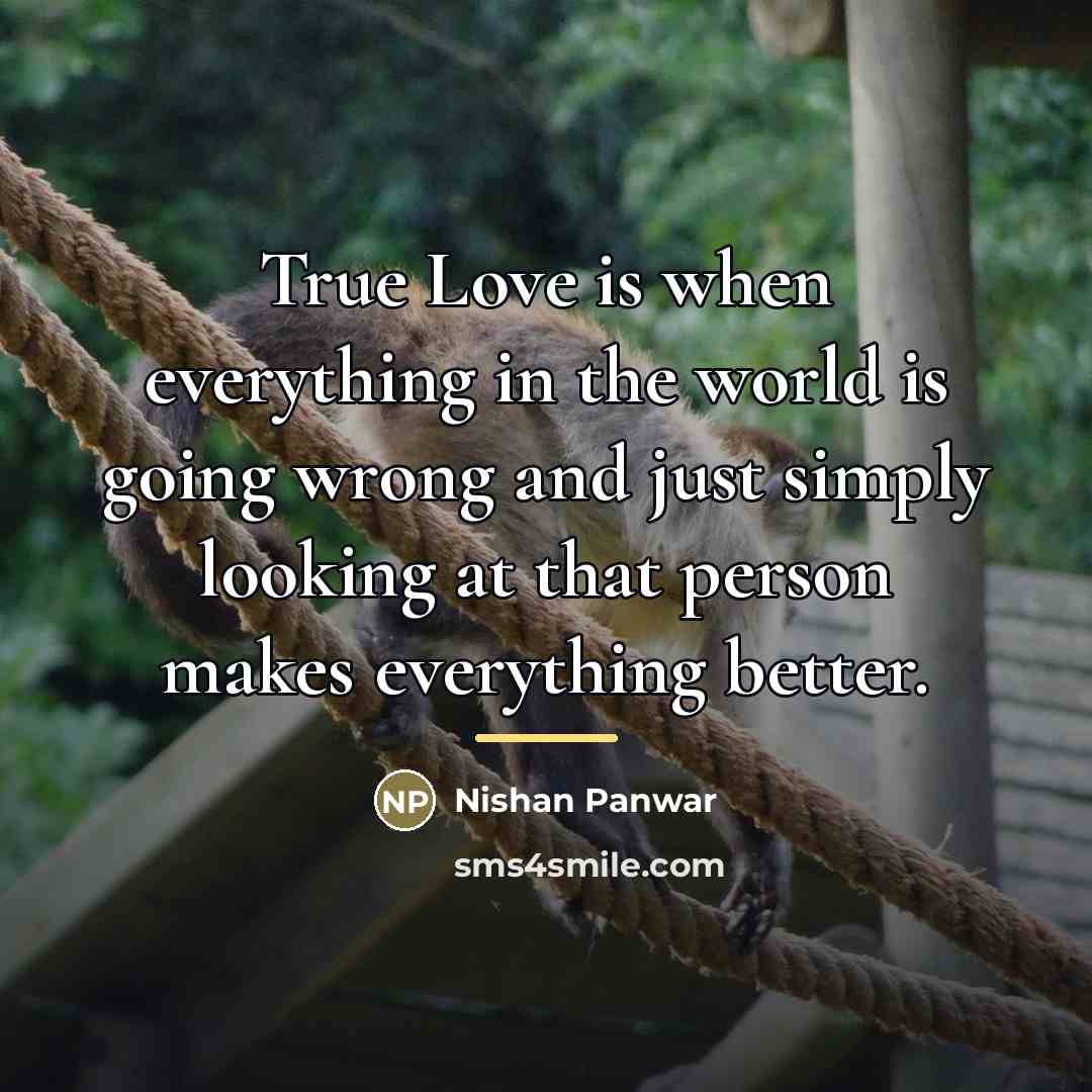 “True Love is when everything in the world is going…” quote by Nishan Panwar