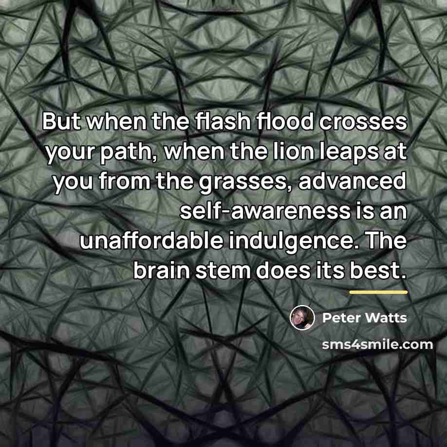 “But when the flash flood crosses your path, when the…” quote by Peter Watts