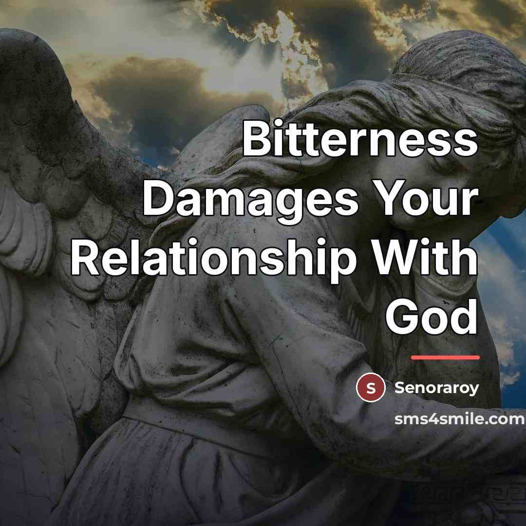 “Bitterness Damages Your Relationship With God…” quote by Senoraroy