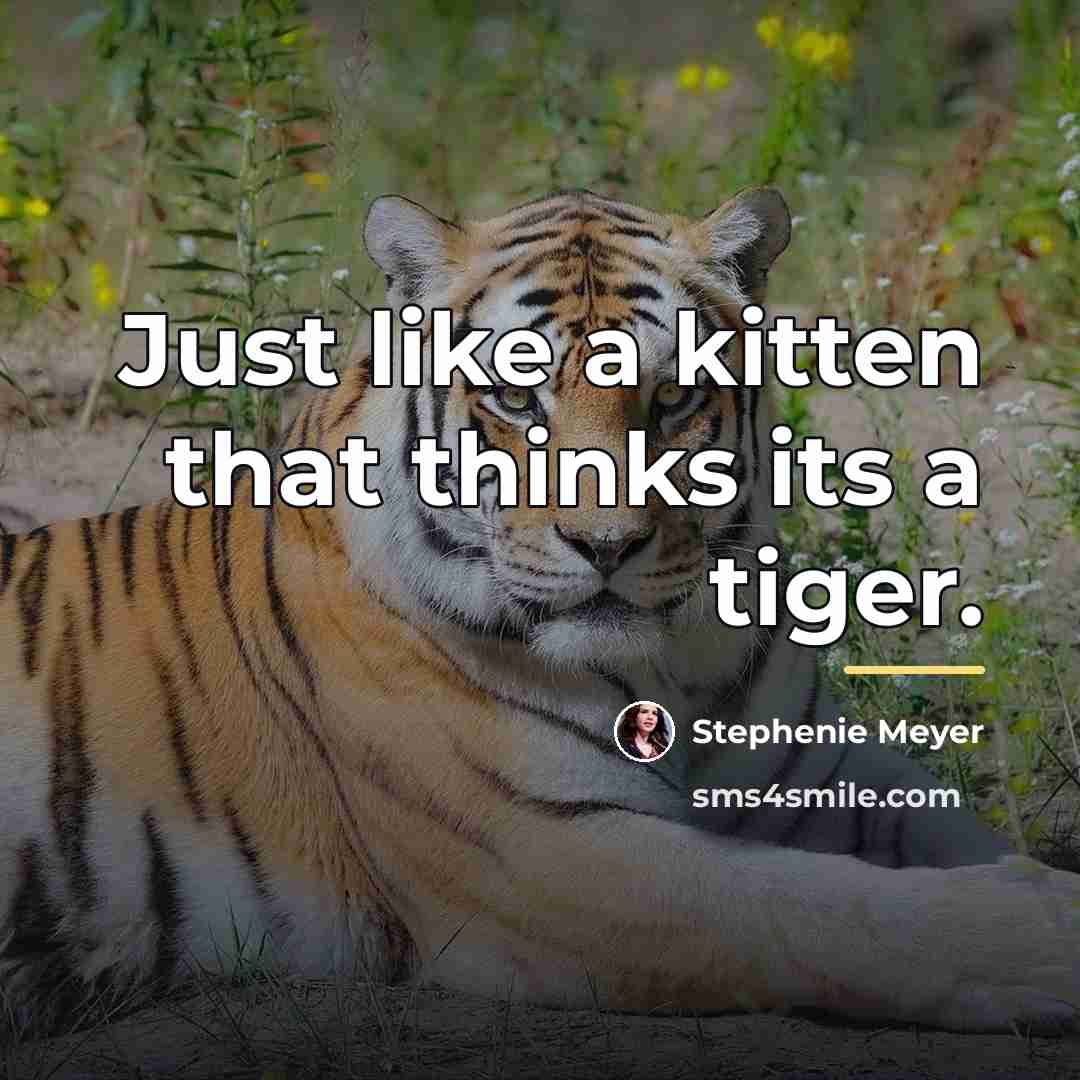 “Just like a kitten that thinks its a tiger.…” quote by Stephenie Meyer
