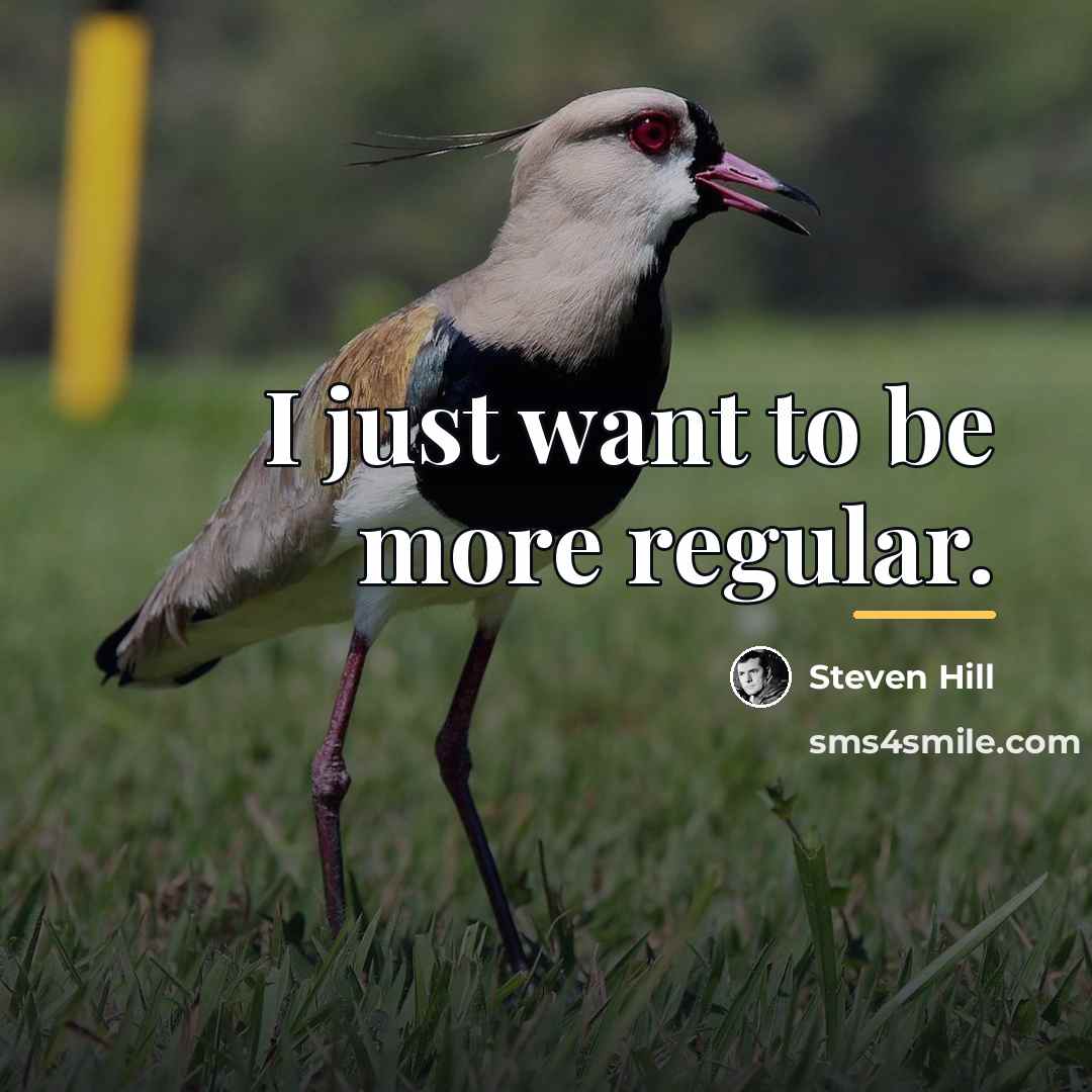“I just want to be more regular.…” quote by Steven Hill