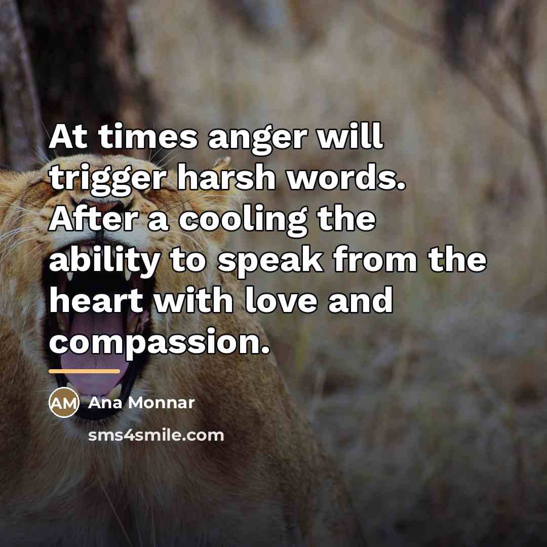 “At times anger will trigger harsh words. After a cooling…” quote by Ana Monnar