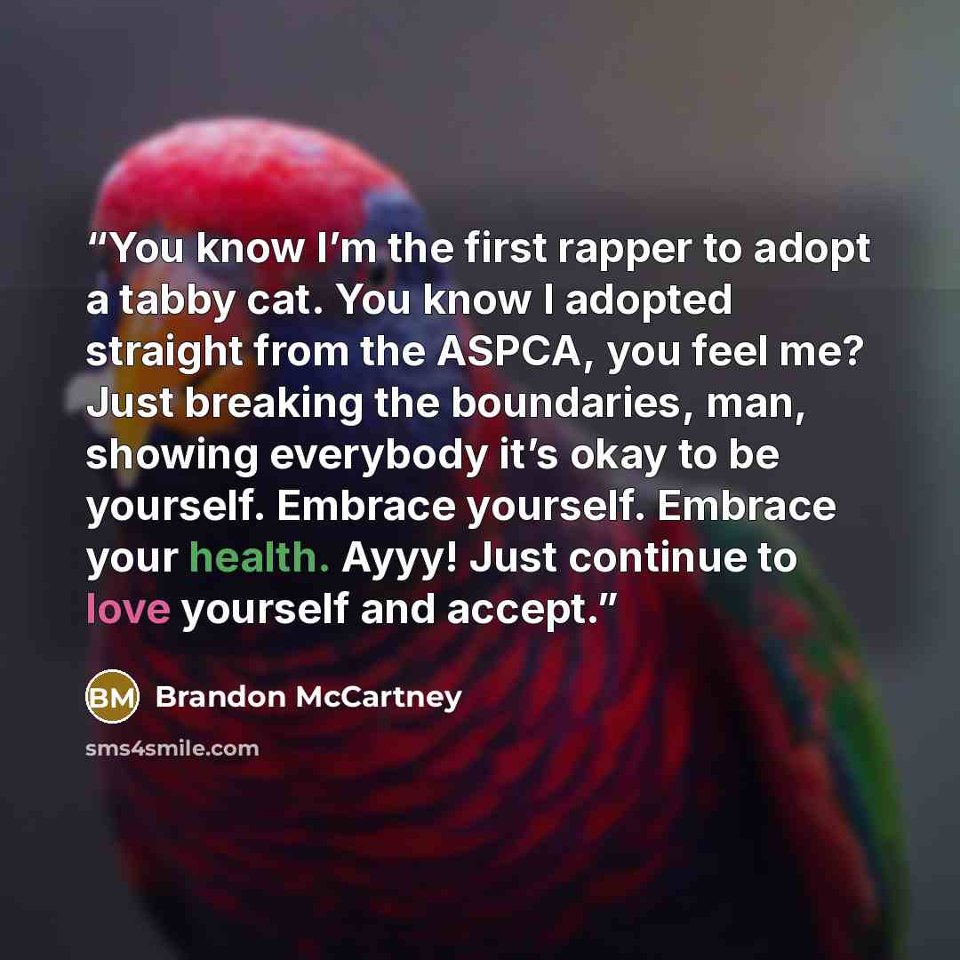 “You know I’m the first rapper to adopt a tabby cat. You know I adopted straight from the ASPCA, you feel me? Just breaking the boundaries, man, showing everybody it’s okay to be yourself. Embrace yourself. Embrace your health. Ayyy! Just continue to love yourself and accept.” quote by Brandon McCartney