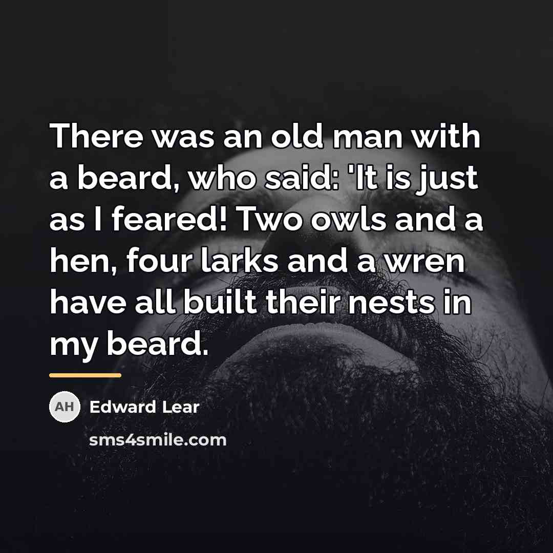 “There was an old man with a beard, who said:…” quote by Edward Lear