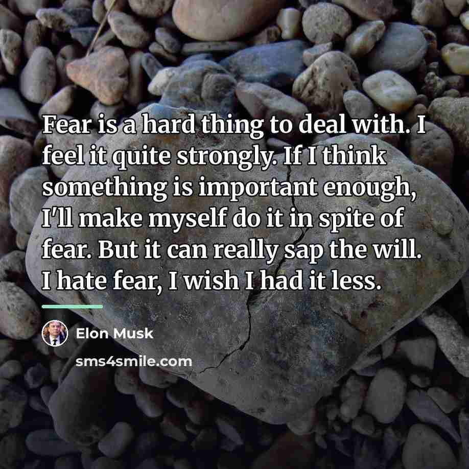 “Fear is a hard thing to deal with. I feel…” quote by Elon Musk